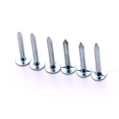 China Flat Cheap Price Electro Galvanized Flat Product Head Cloth Nails for sale