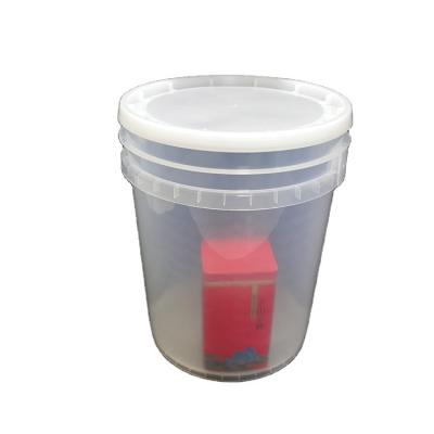 China New Product Container Transparent Lid Environmental Friendly Plastic Bucket Good Price Eco-friendly for sale