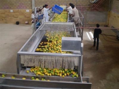 China Complete Mango Peeling Processing Plant Automatic Juice Production Line zu verkaufen