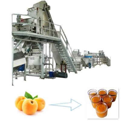 Chine Stainless Steel Mango Processing Machine Durian Marmalade Processing And Making à vendre