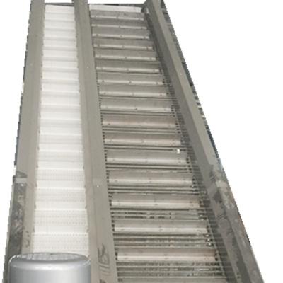 China 1.5kw 300KG Fruit Sorting Conveyor Continuous Stainless Steel for sale