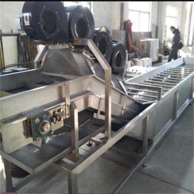 China Industrial Roller Conveyor  Fruit Vegetables Bubble Cleaning Washing Roller Conveyor for sale