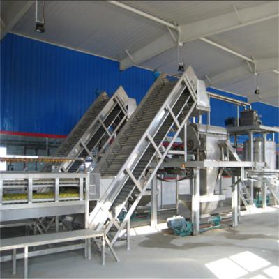 Chine Tomato Paste Processing Sorting Conveyor Chain Plate Sorting Conveyor à vendre