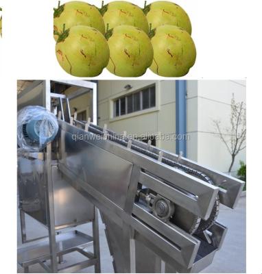 China 7.5kw Coconut Process Machine Cutting Half Cutter Water Extracting for sale