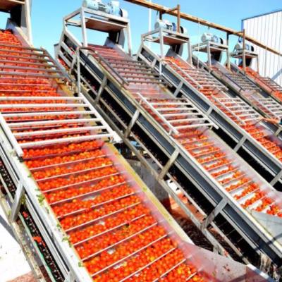 China CE Concentrated Mango Juice Production Line  220L Aseptic Drum zu verkaufen