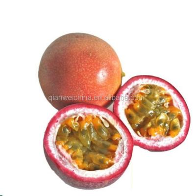 China Passion fruit concentrate juice processing plant passion fruit pulp production line for sale