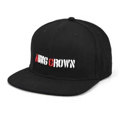 China JOINT Snapback Hat 3d Embroidery Logo Wholesale Custom Snapback Hats Men Women Snapback Hat for sale