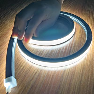 China DC12V IP68 2835 5m Residential Roll NEON Led Strip for sale