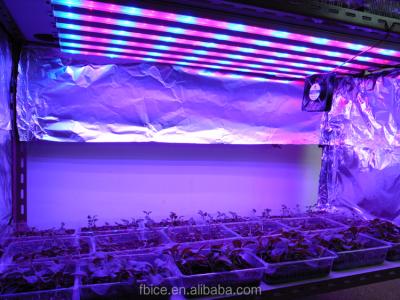 China Aluminum easily assembled 1meter long 80W led grow light greenhouse grow light led grow seedling light for sale