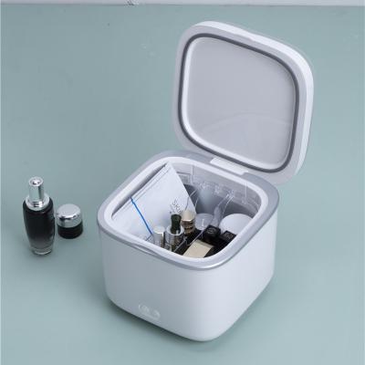 China 4L Makeup Mini Refrigerator Portable Cosmetics Mini Refrigerator THERMOELECTRIC Heating Skin Care for sale