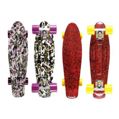 China Hot Selling Outdoor Activities Cruiser Skate Board Fish Plastic Skateboard With PVC Wheels for sale