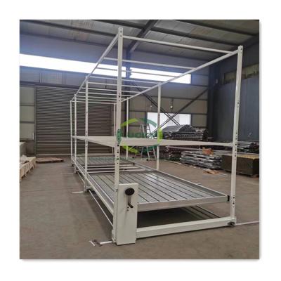 China Easy For Operation Greenhouse High Quality Flood And Drain Hydroponics Two Layer Multilayer Rolling Bench for sale