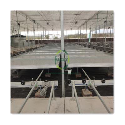 China Easy For Commercial ABS China Table Operation Tray Ebb And Flow Logistics Sowing Rolling Bench Greenhouse Full Automatic Tidal Growing System for sale