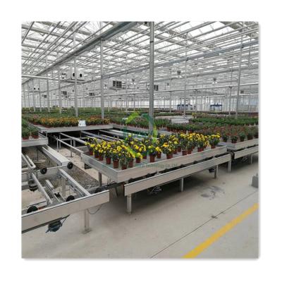 China Easy for Operation China Supplies Commercial Mobile Greenhouse Grow Table Nft Seeding Logistics Seedling Bench Hydroponic Rolling Benches for sale