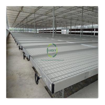 China Greenhouse Hydroponics Greenhouse Hydroponics System Low Cost Adjustable Seedling Movable Ebb And Flood Rolling Bench Growing Rolling Table for sale