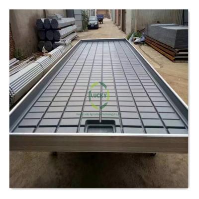 China Greenhouse Hydroponics System Factory Price Vegetables Flowers Seedlings Greenhouse Movable Table Ebb and Flow Rolling Growing Bench 4X12 for sale