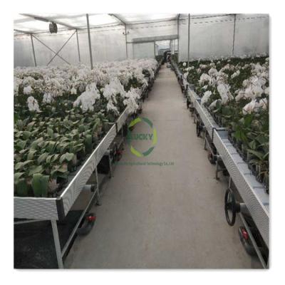 China Greenhouse Hydroponics System Equipment Flood Plastic Grow Trays Commercial Hydroponic Rolling Bench ebb and flow Seedlings Greenhouse Table for sale