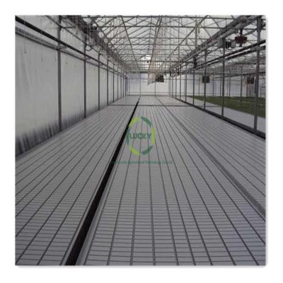 China Rolling Bench Rose 4*8Ft Rolling Bench Rose 4*8Ft Agricultural Rolling Bench Hydroponic Grow Bed Farming ABS Greenhouse Hydroponics System Greenhouse for sale