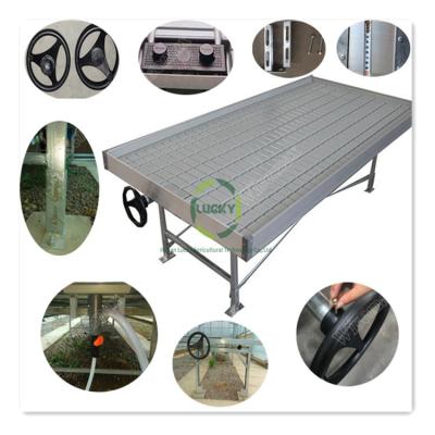 China Commercial Mobile Hydroponic Table and Tray Greenhouse Seedbed For Sale Greenhouse Hydroponics System Agriculture Ebb and Flow Rolling Bench for sale