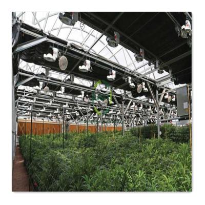 China Medical Planting for USA Winter Tomato Hemp Plants Automated Geodesic Dome Tunnel Popular Light Deprivation Dark Blackout Greenhouse for sale