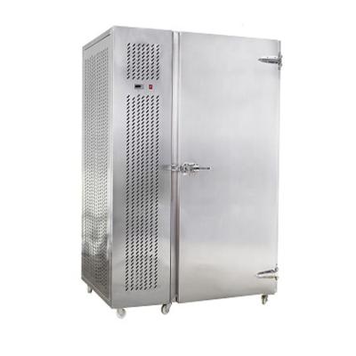 China Hotels France Compressor Stainless Steel Blast Freezer -80degree for sale