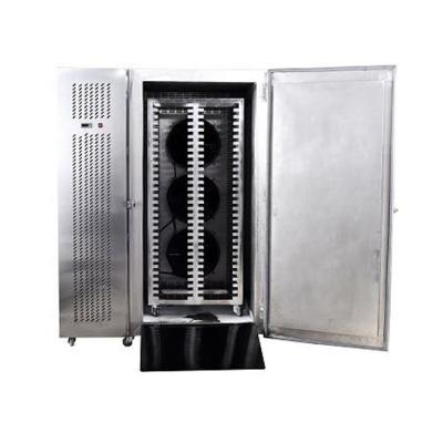 China Hotels France Compressor Stainless Steel -80degree Ultra Low Temperature Blast Freezer for sale