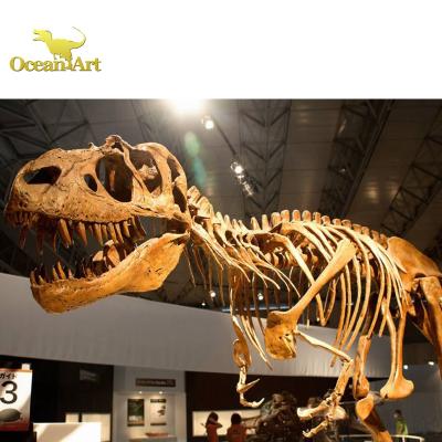 China Theme Park Giant Dinosaur Skeleton Dinosaur Fossil Reproduction For Sale for sale