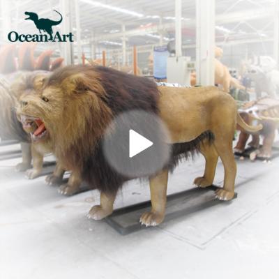 China Life size lion exhibition animal park simulation animatronic animal for sale for sale