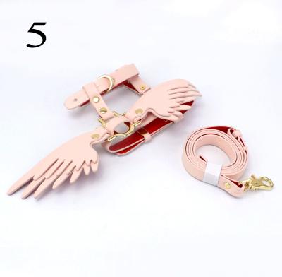 China Amazon Viable Supplier Luxury Genuine Leather With Wings Decoration Pet Collar And Leash Set for sale