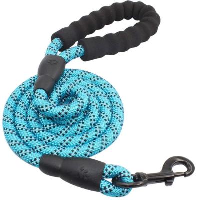 China Amazon Reflective Supplier Large Colorful Nylon Reflective Rope Dog Running Tracking Leashes for sale