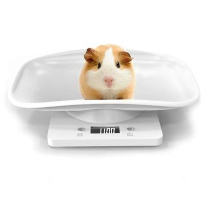 China Amazon Sustainable Supplier Led Electronic Screen Hospital Used For Small Animal Pet Weight Scale for sale