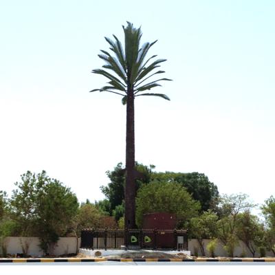 China 40m Eco-friendly Telecom Mast Antenna Artificial Palm Tower Tree Communication for sale