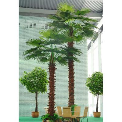 China No Harm To Person Plastic Royal Artificial Cycas Fan Palm Trees And Outdoor Environment Decorative Grasshopper for sale