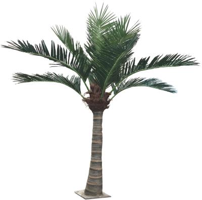 China Eco-friendly Cheap Outdoor Decorative Huge Artificial Palm Tree for sale