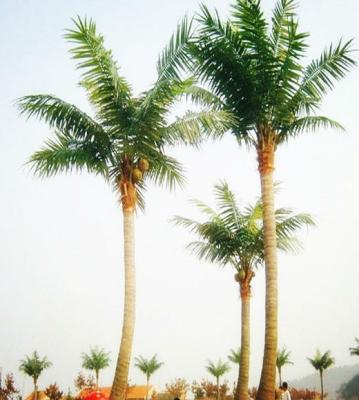 China Eco-friendly Artificial Huge Decoration Artificial Coconut Palm Tree Galvanized Steel Trunk Coconut Tree for sale