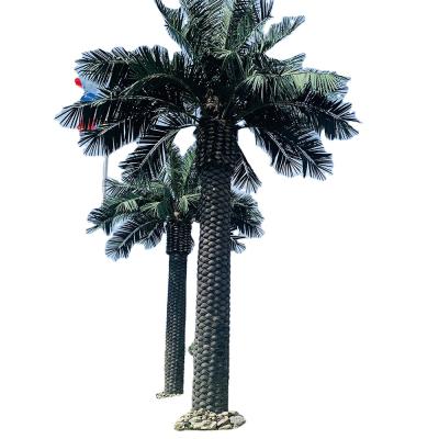 China Eco-friendly Fiberglass Artificial Date Palm Tree For Outdoor Decoration for sale