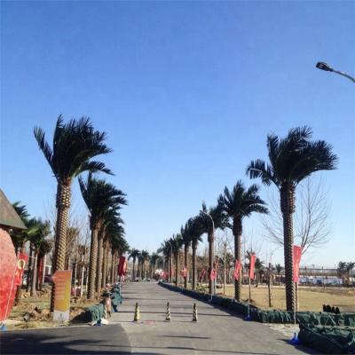 China Minimalist super quality artificial date palm for sale