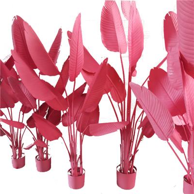 China Wedding Artificial Banana Trees in Pink Color for Garden Decoration for sale