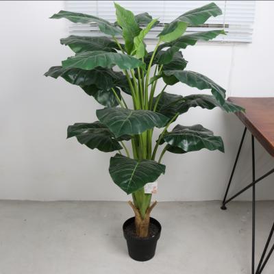 China Large Leaf Plant Indoor Artificial Green Leaf Plant Artificial Decoration Plant For Decoration for sale