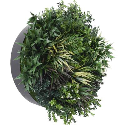 China Minimalist UV And Fire Resistant Artificial Plants Wall In 60cm for sale