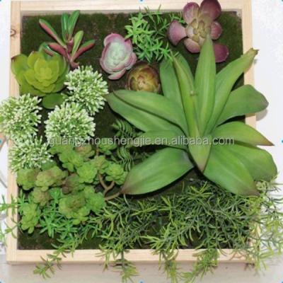 China For Wall Decoration Q120908 Living Vivid High Quality Artificial Succulent Plants Cheap Artificial Green Wall for sale