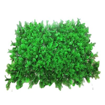 China 40cm*60cm Eco-friendly Artificial Boxwood Mat For Wall Decoration for sale