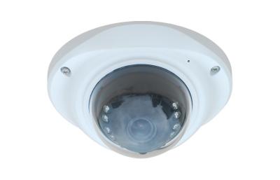 中国 屋外 AHD のドームのカメラの内部同時性、隠された CCTV のカメラ 3.0MP レンズ 販売のため