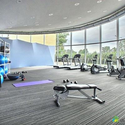 Cina Commercial Nylon Plain Carpet Tiles 50*50 for Sports Centre Exercise Room Gym in vendita