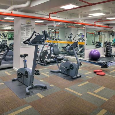 China Fitness Center Hotel Office Floor Carpet Tiles Exhibition Gym Tile Carpet Customization for sale