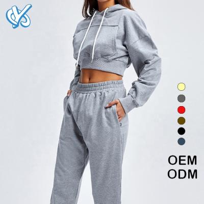 China High Quality Hoodies OEM Breathable 2021 Custom Women Cotton Pullover Tracksuits With Pockets Big Women's Sweat Suits Tracksuit for sale