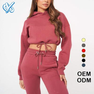 China OEM Breathable Custom Solid Color Sleeve Sweatshirt Zipper Joggers Tracksuit Long Sweat Suit 2 Piece Sweatsuit Set Teams Women Tracksuit for sale