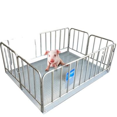 China With Fence 0.75m Floor 300kg 250kg Electronic Digital Scales For Pig for sale