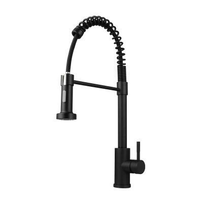 China Pull Out Spray Factory Direct Selling Stainless Steel Matte Black Kitchen Faucet With Pull Down Sprayer for sale