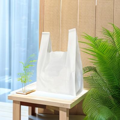 Chine Promotion Fruit compostable bio-dégradable sac à main sur mesure à vendre